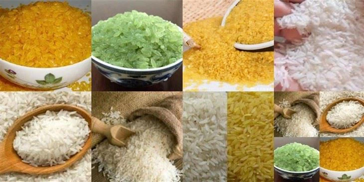 Nutritional Rice Making Machine Extruders Nutritional Rice Making Machine Extruders